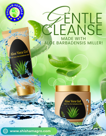 Shisham Agro Herbals
