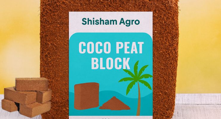 Coco Peat Block