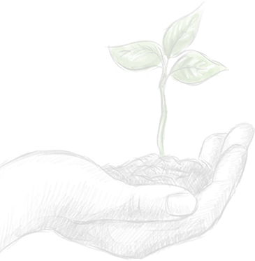 Shisham Agro Herbals